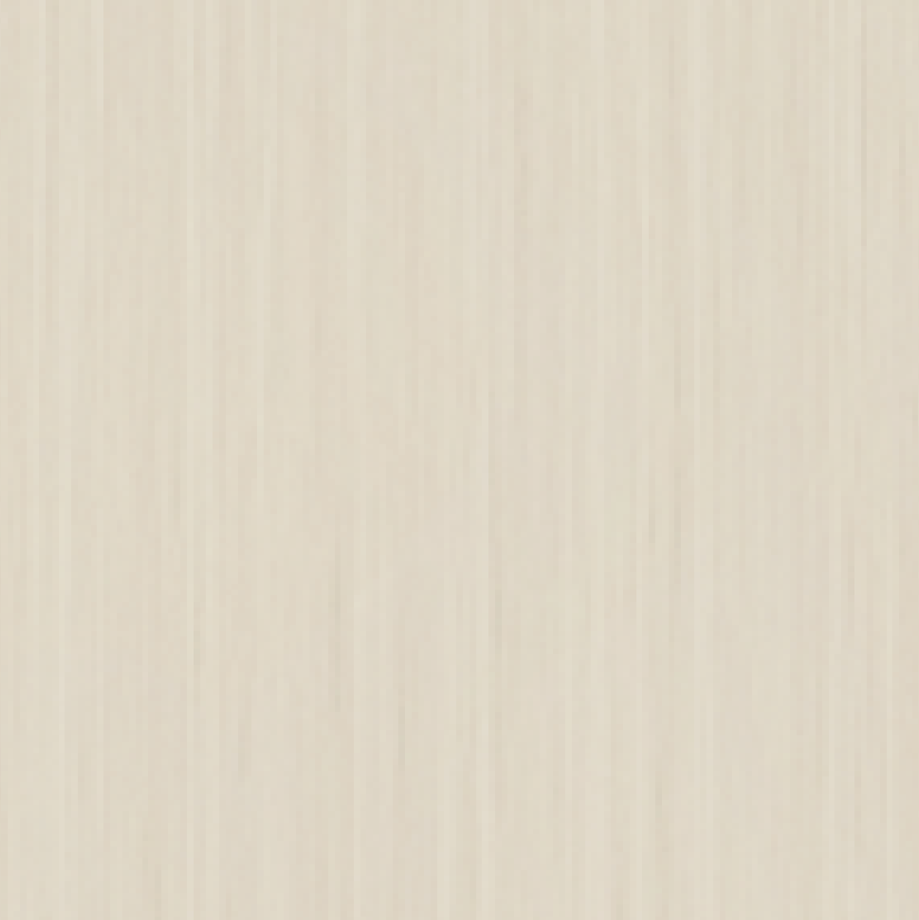 Carta Steyr Ash
